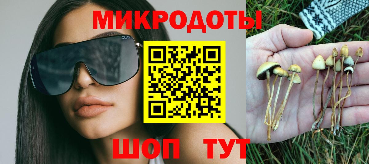 Нововоронеж  закладка  Галлюциногенные грибы Psilocybe  Вход с VPN  Псилоцибиновые грибы Psilocybe 